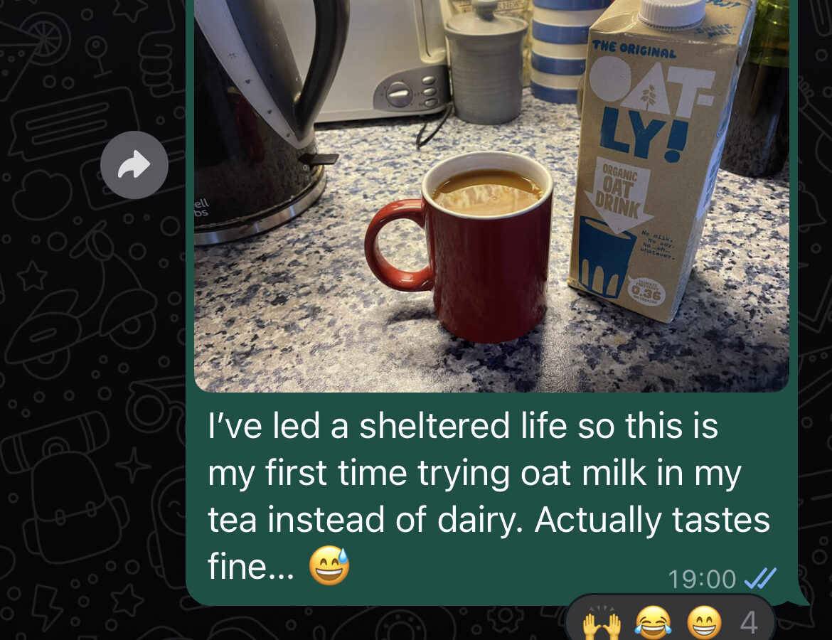 Whatsapp chat about oat milk